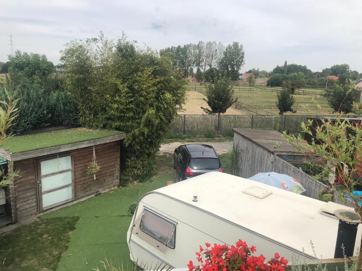 Gardencaravan Near Ghent In Green Area Hotel Exterior photo